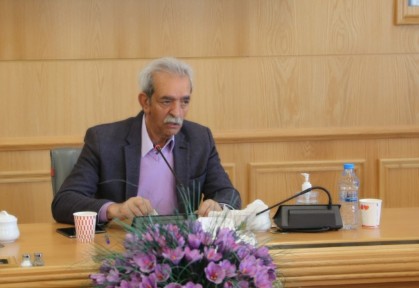 شافعی:ضرورت مشارکت همگانی، برای عبور از بحران